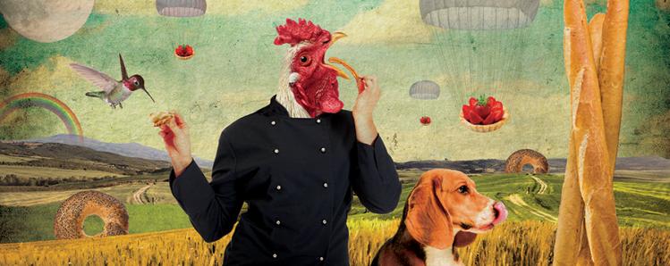 Terra Viva Wall Montage